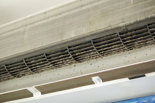 Best HVAC Air Duct Cleaning  in North Beach Haven, NJ